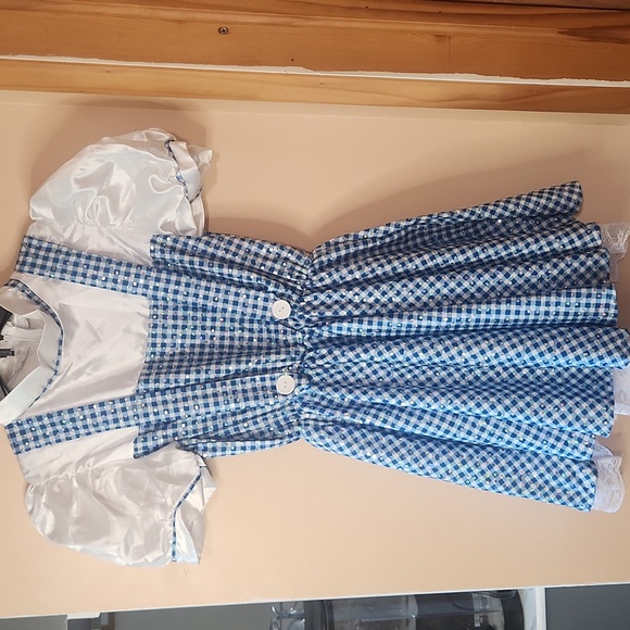 The Wizard Of Oz Dorothy Kids Costume Dress Size Medium 7/8 - Picture 1 of 10